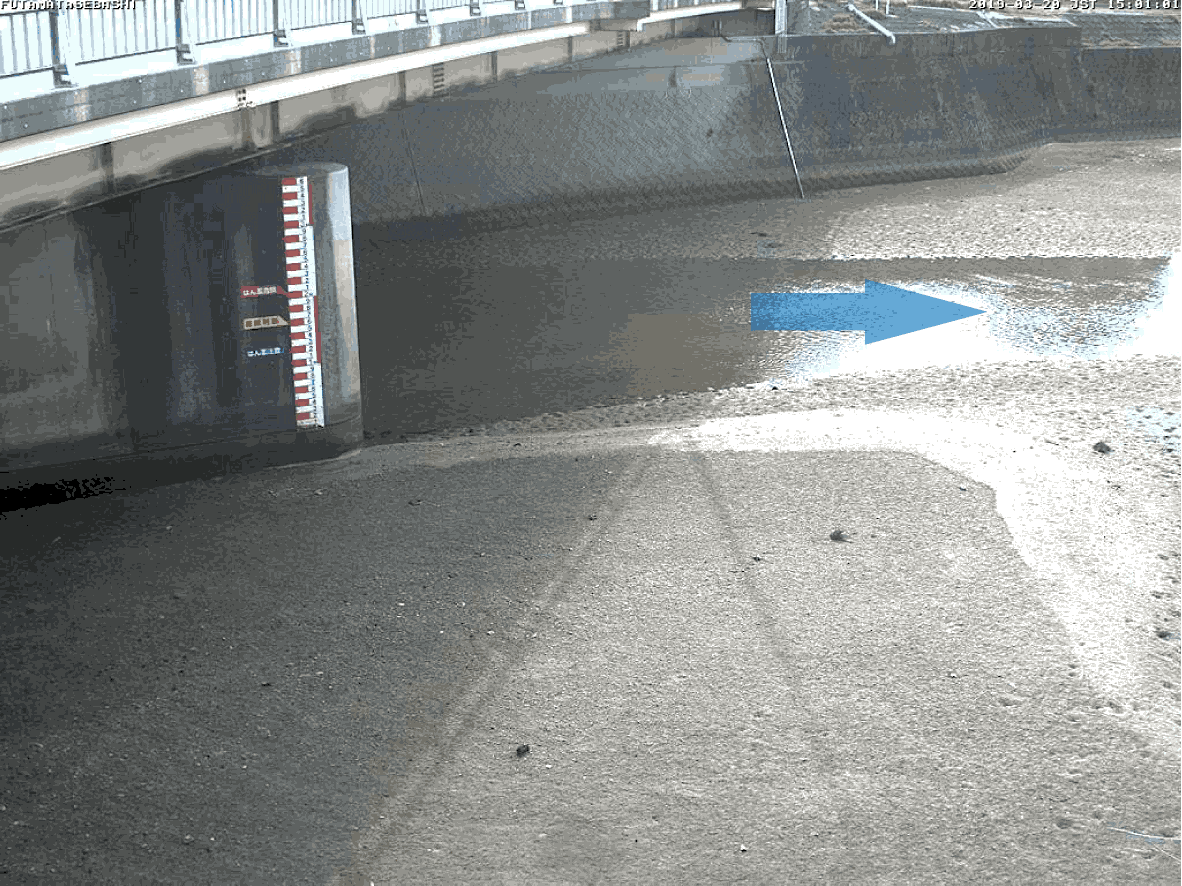 平常時ライブカメラ画像