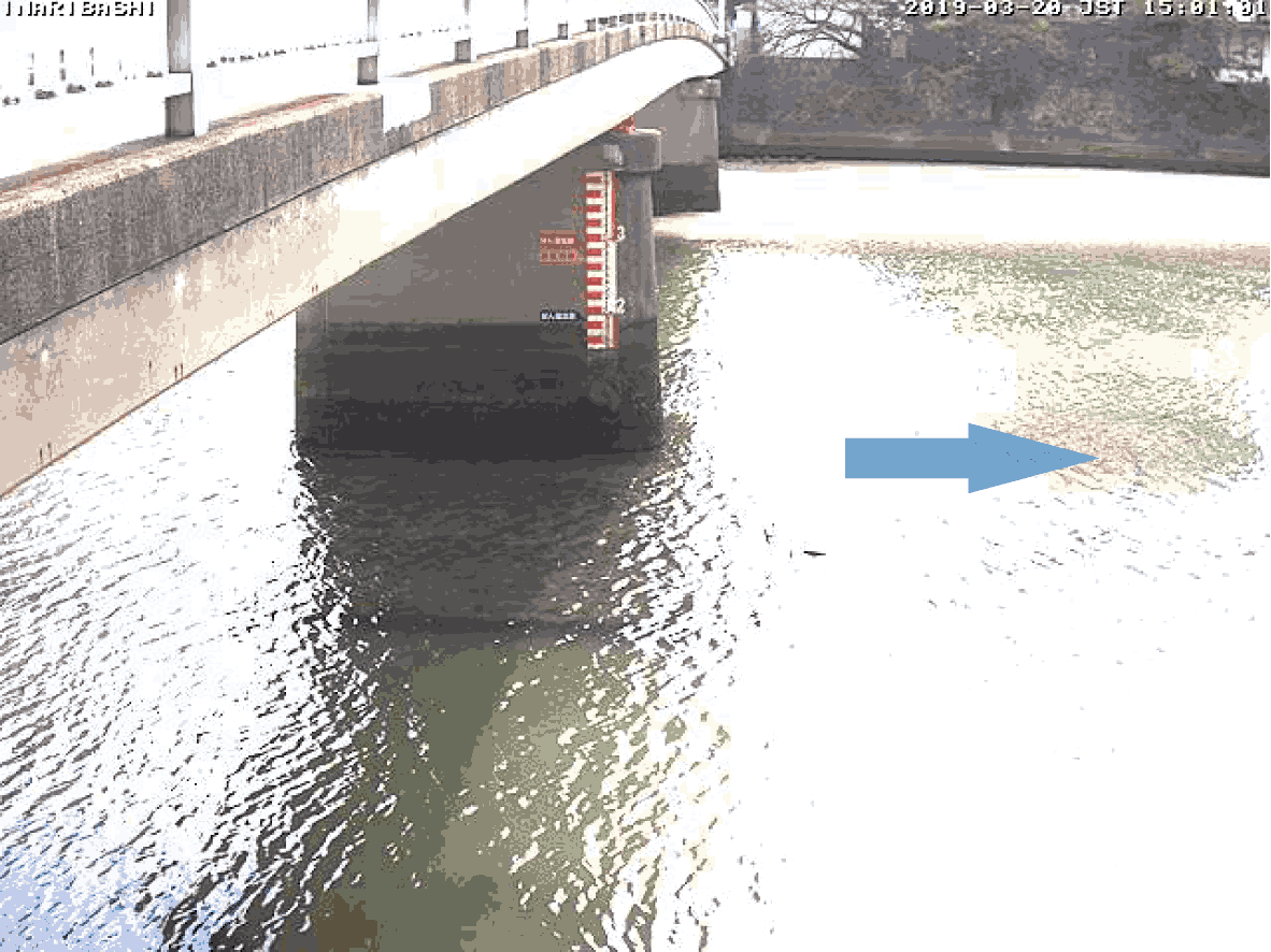 平常時ライブカメラ画像