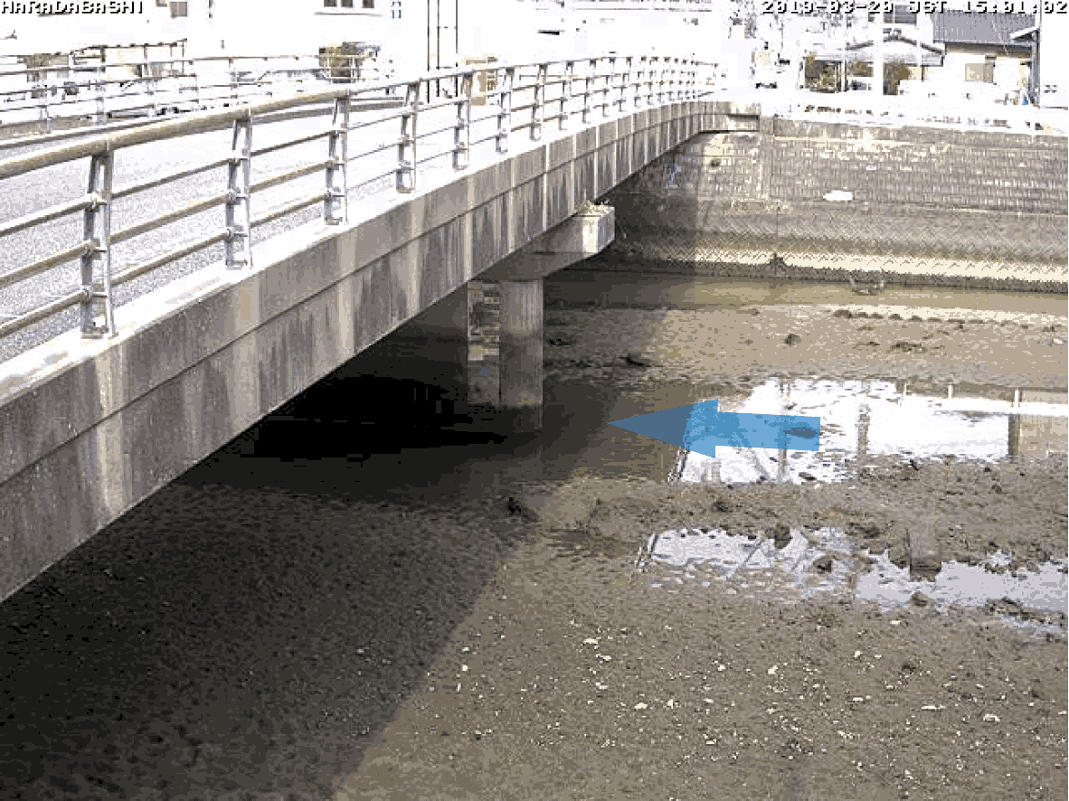 平常時ライブカメラ画像