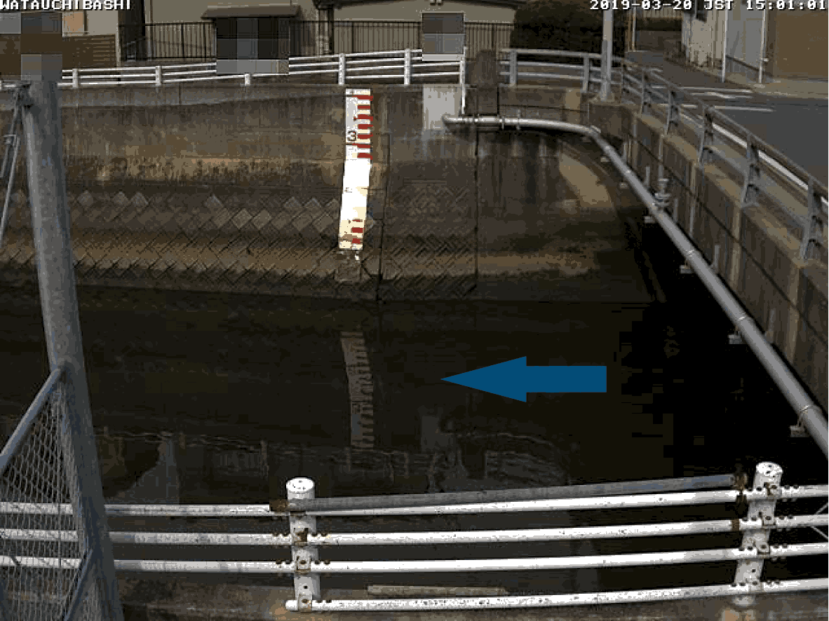 平常時ライブカメラ画像