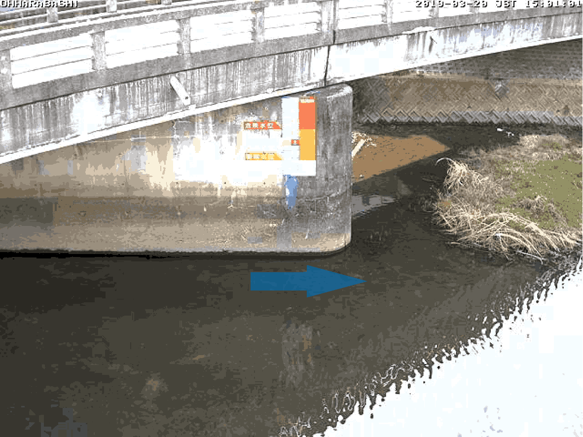 平常時ライブカメラ画像