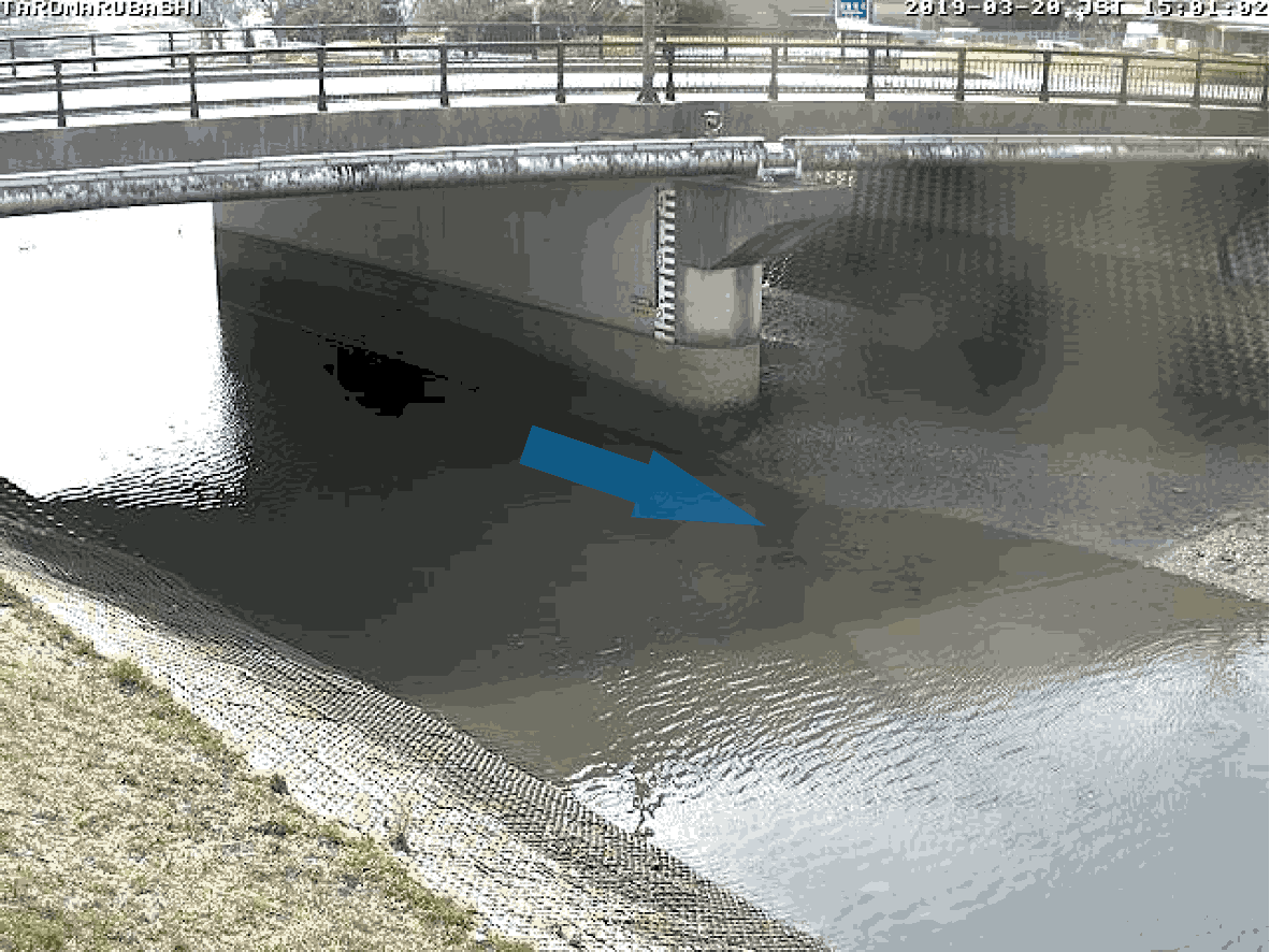 平常時ライブカメラ画像