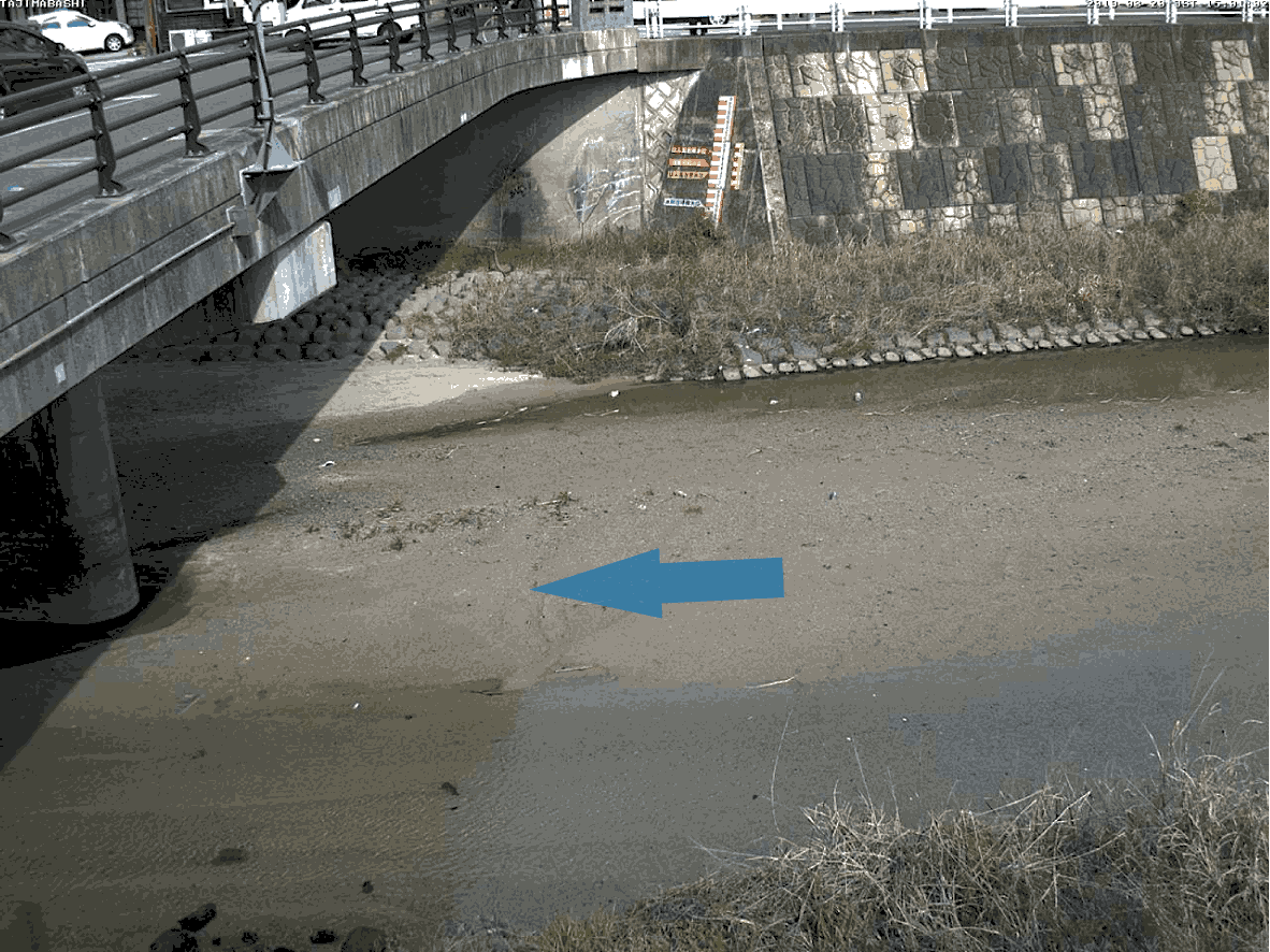 平常時ライブカメラ画像