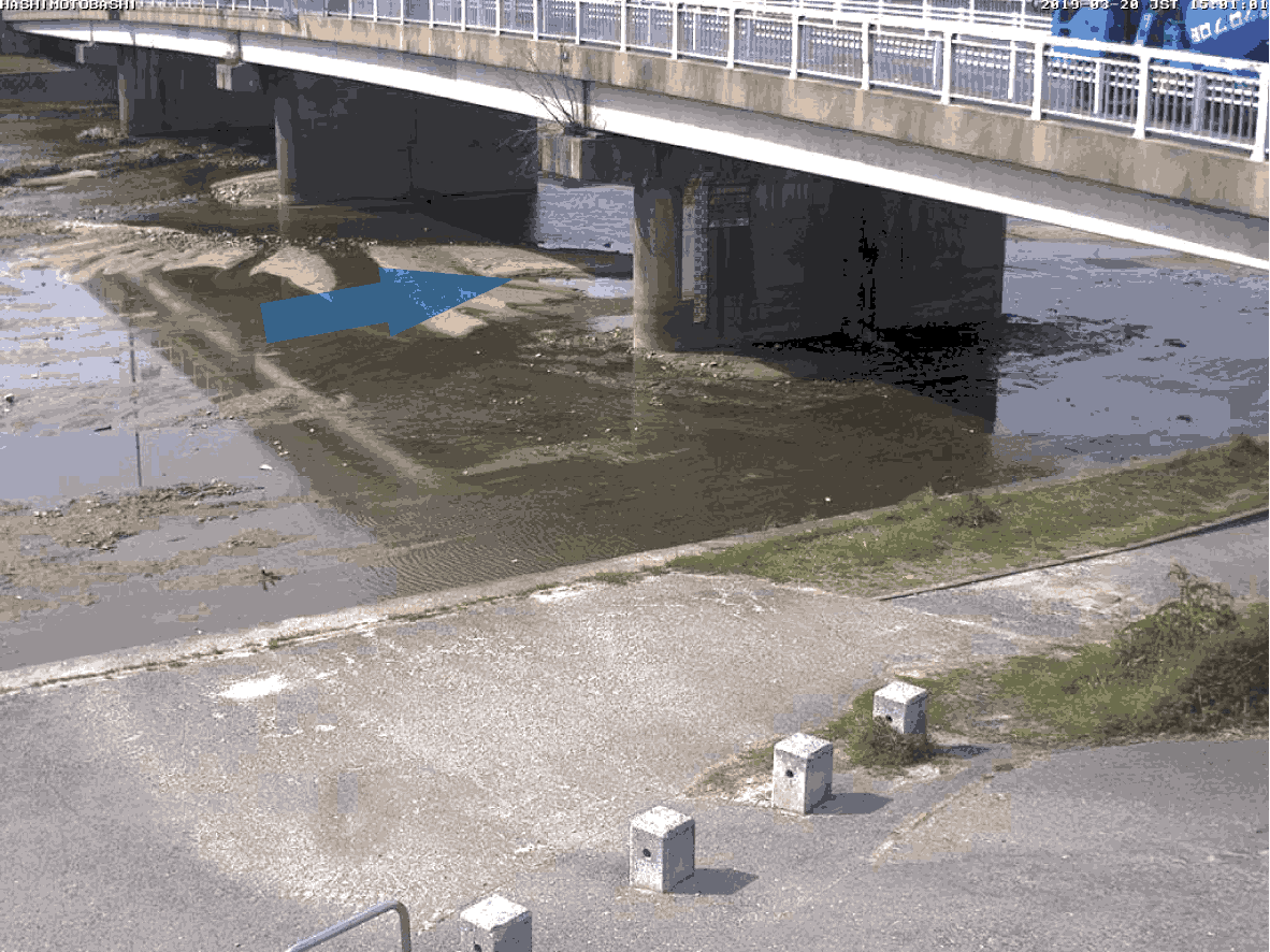 平常時ライブカメラ画像