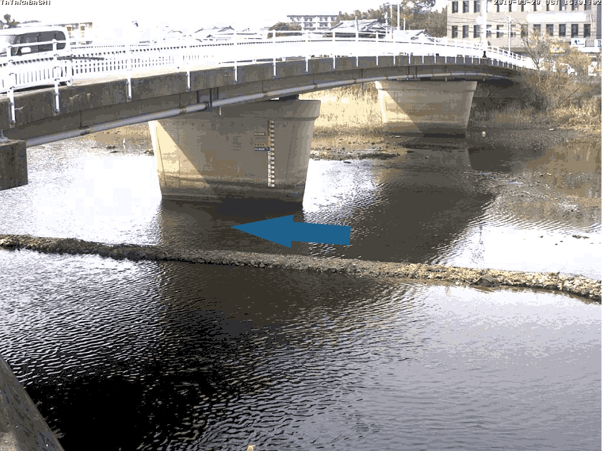 平常時ライブカメラ画像