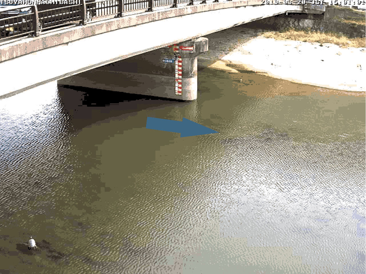 平常時ライブカメラ画像