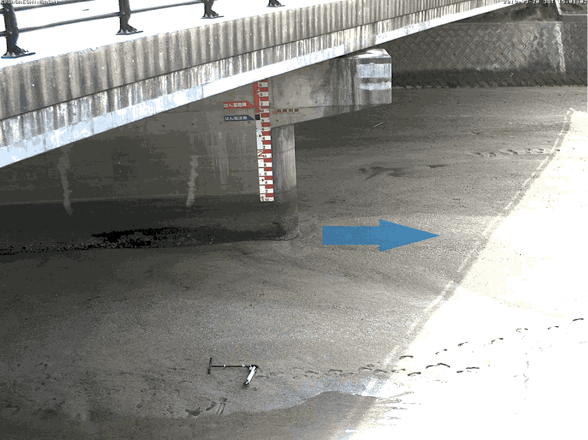 平常時ライブカメラ画像