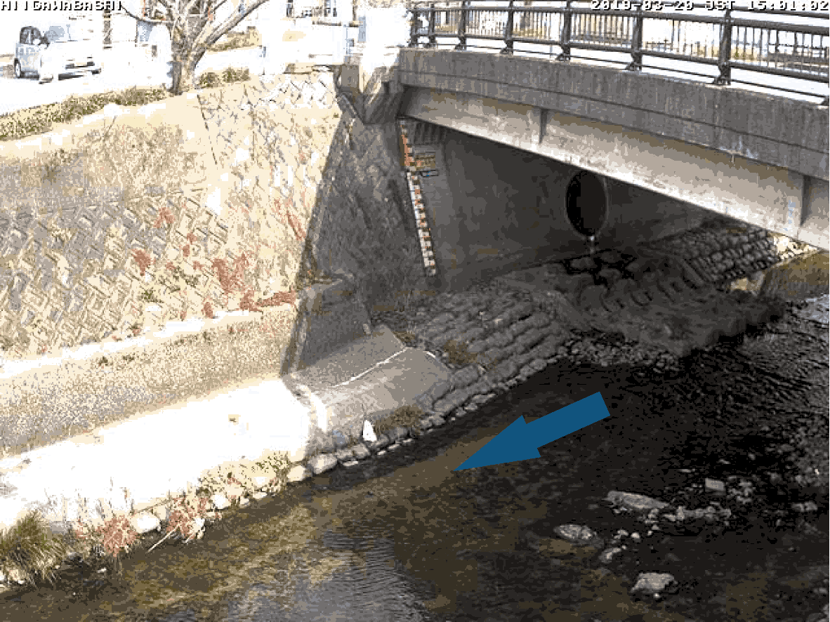 平常時ライブカメラ画像