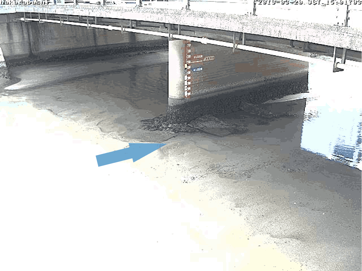 平常時ライブカメラ画像