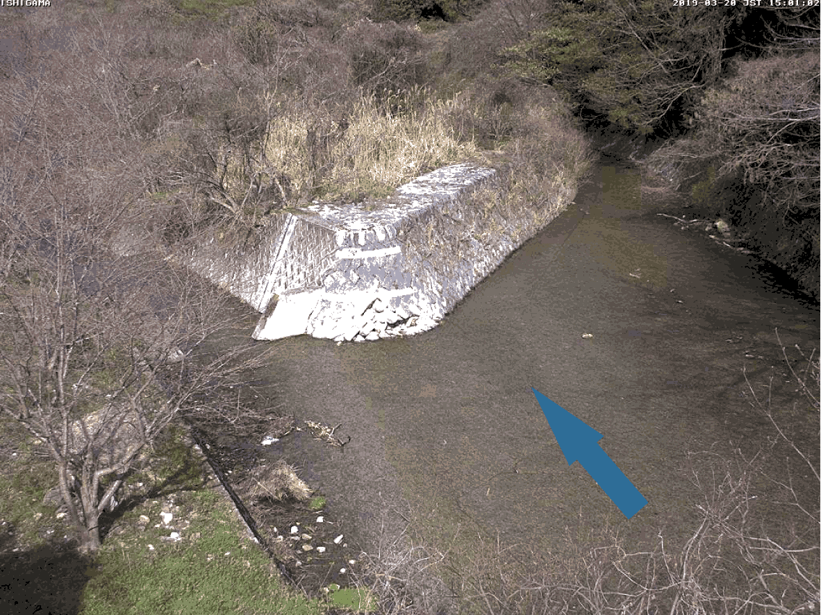 平常時ライブカメラ画像