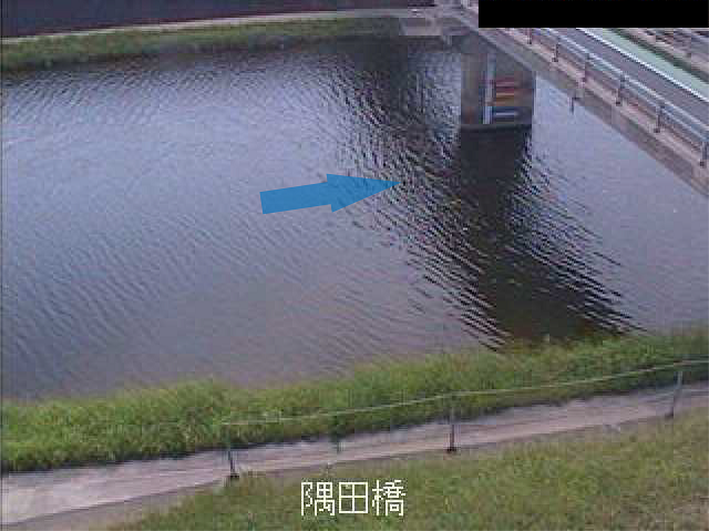 平常時ライブカメラ画像